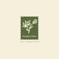 Designers Choice Plant